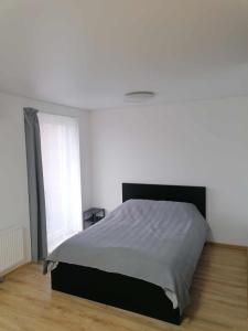 obrázek - Žiburio apartamentai