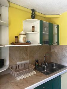 Summer Shades at Turtle Towers