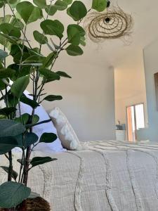 Provensa - love room avec balneo et terrasse avec vue