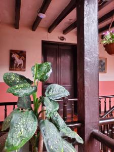 Hostal Juana de Arco