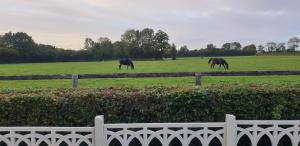 LARRA DE LA ROSERAIE