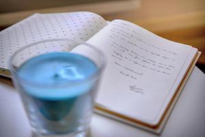 Le Paco - 600 m plage - Verrière Côte dAzur