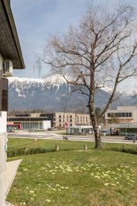 Spacious And Historic Villa With Bled Castle View