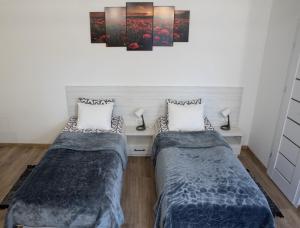 Svečių namai Aurėja