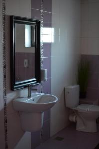 Vila cu trandafiri - Cozy Apartments Studio cu pat matrimonial