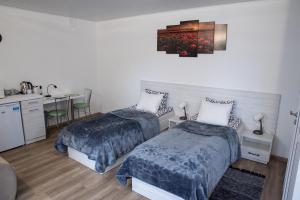 Svečių namai Aurėja