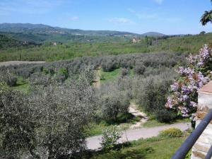 Agriturismo Fattoio alle Ripe