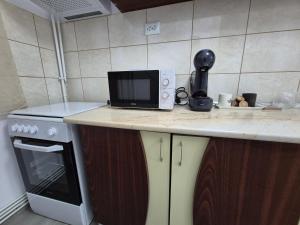 Apartament Palas