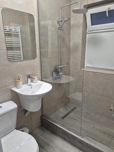 Apartament Palas