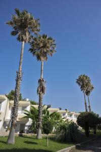 Fili Hotel Apartments Kos Greece