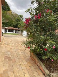 Três praias para ir a pé Térreo 2 vagas de estacionamento Ar Condicionado