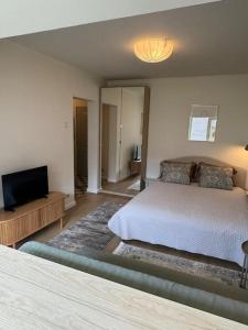 Luxury Studio near University Square