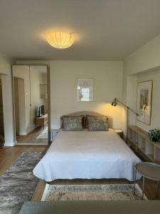 Luxury Studio near University Square