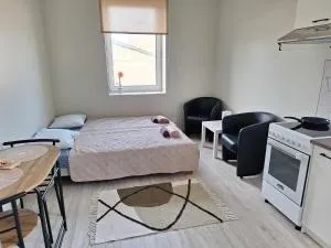 Nadmar hostel apartment nr 2 - Myza Kudʼyabya