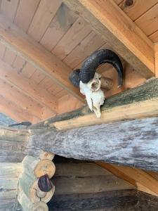 Lammastilan laavu - Lean to Inarin tila