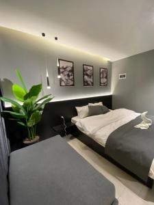 obrázek - San Vito Luxury apartment
