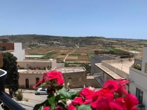 Fl 3 TaLonza luxury with hot tub by Homely