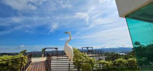 Casa no Mirante de Escarpas