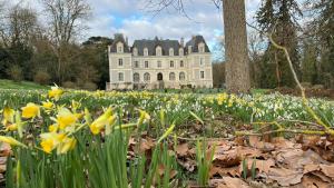 B&B / Chambres d'hotes Chateau de Saint-Bohaire : photos des chambres