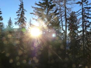 Résidence Alliet - Duplex pour 5 personnes proche des pistes et des commerces dans le village de Charmettoger MAE-1904