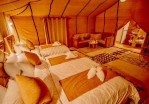 Amazing Luxury Camp
