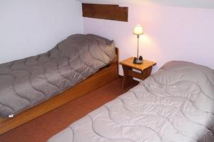 Les Chalets Darrondaz - Appartement spacieux 1012 personnes 90 m² MAE-2894