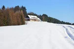 Schronisko Górskie nad Smolnikiem - Mików