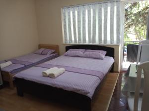 Apartment Gino