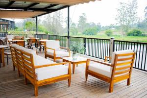 Monarch Campestre- Rionegro