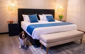 Monarch Campestre- Rionegro