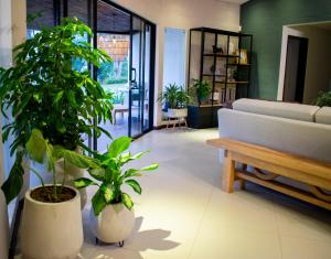 Monarch Campestre- Rionegro