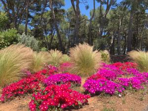 Chalets Chalet 3 Chambres avec Piscines, Clim et Proximite Plages a Pomerols - FR-1-783-13 : Chalet