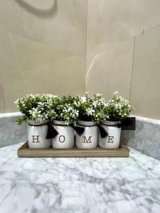 Ecusuites Playa privada Room 1 Karibao