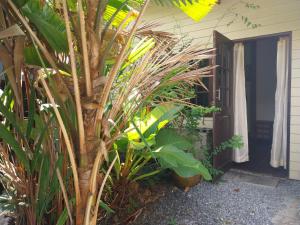 Jonnies Riverside Resort