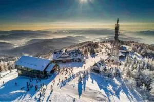 Krynicka Koliba na Jaworzynie Krynickiej - 皮夫尼奇纳