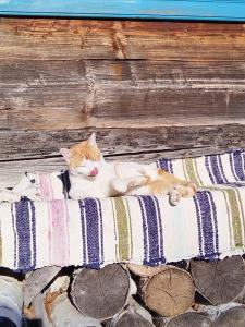 Small Apartment in Breb s Cosy Barn