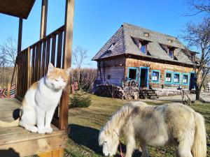 Small Apartment in Breb s Cosy Barn