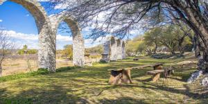 Tierra y Amor San Miguel de Allende