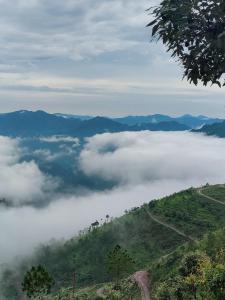 VAN MAHAL HIMALAYAS