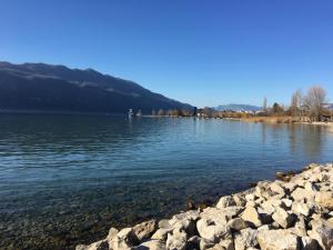 Appartements Le cosy de la Dent du Chat - Classe 3 etoiles - Hyper centre Aix les Bains : photos des chambres