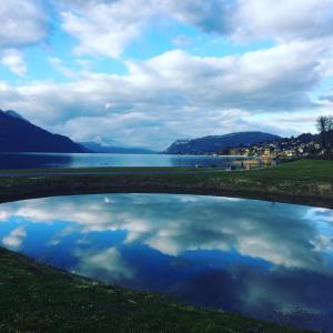 Appartements Le cosy de la Dent du Chat - Classe 3 etoiles - Hyper centre Aix les Bains : photos des chambres