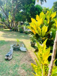 The Kandyan Legends