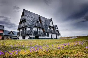 MICHASIÓWKA - Czerwienne