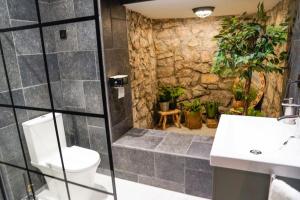 Chambre avec SDB incroyable en plein centre-ville DINANT