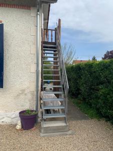 Sejours chez l'habitant Un petit cocon verdoyant : photos des chambres