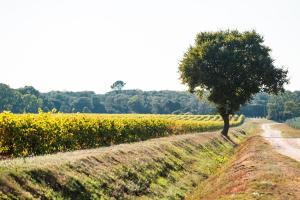 Hotels Domaine de Panery : photos des chambres