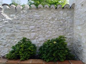 Maisons de vacances Le Colombier, gite pour 6 personnes : Maison 3 Chambres