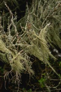 Baardbos Private Game Reserve