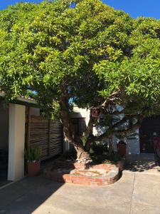 Old Cape Last Trading Post