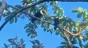 Prime Hermosa- Ocean View Villa with Infinity Pool
